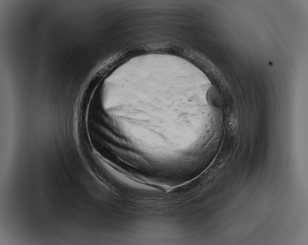 X0000086740732200705111634