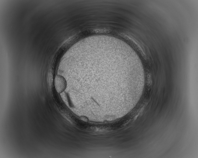 X0000086740733200705111634