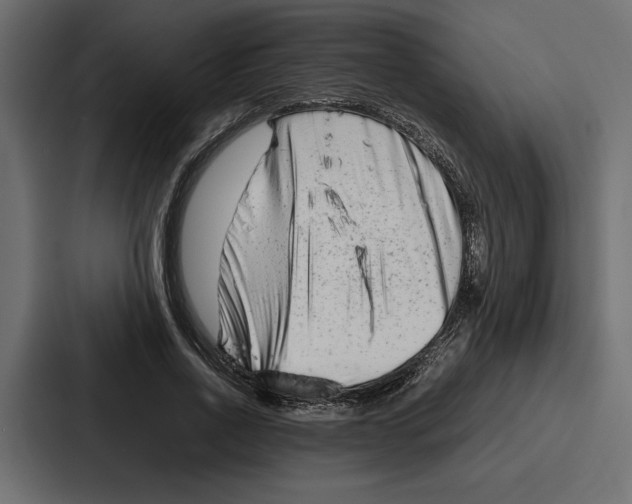X0000086740734200705111634