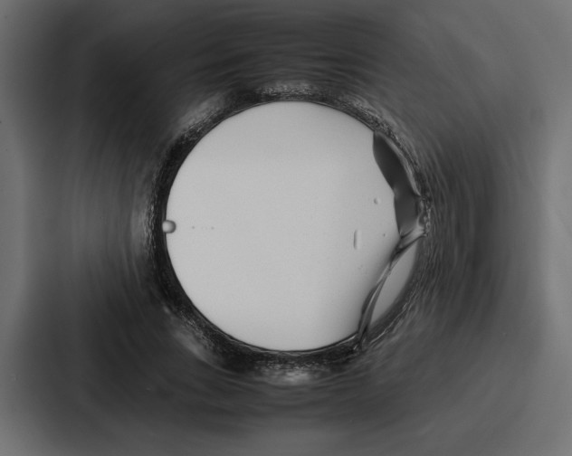 X0000086740735200705111634