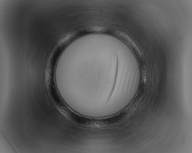 X0000086740736200705111634