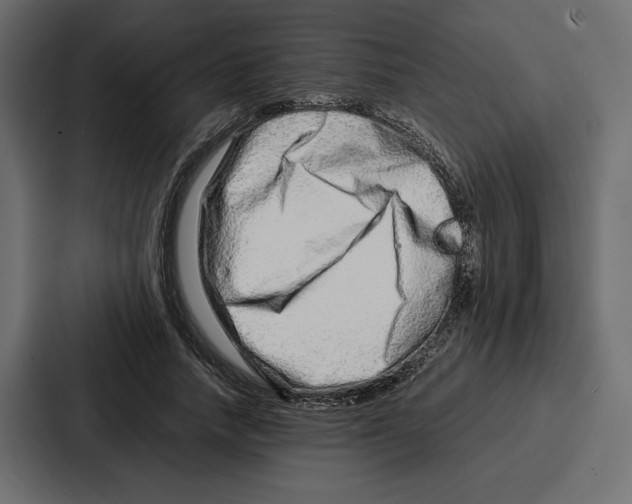 X0000086740738200705111634