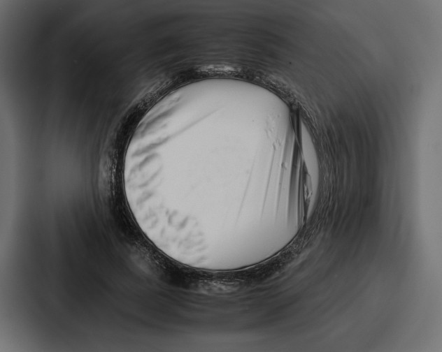 X0000086740739200705111634