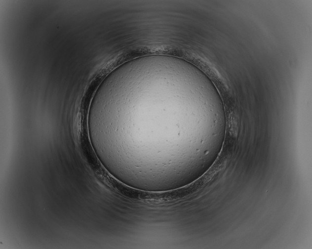 X0000086740740200705111634