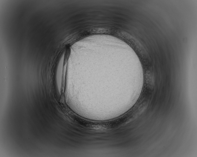 X0000086740741200705111634