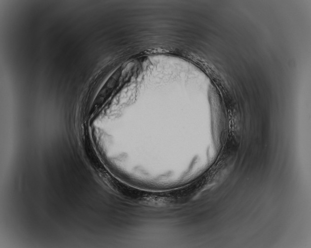 X0000086740742200705111634