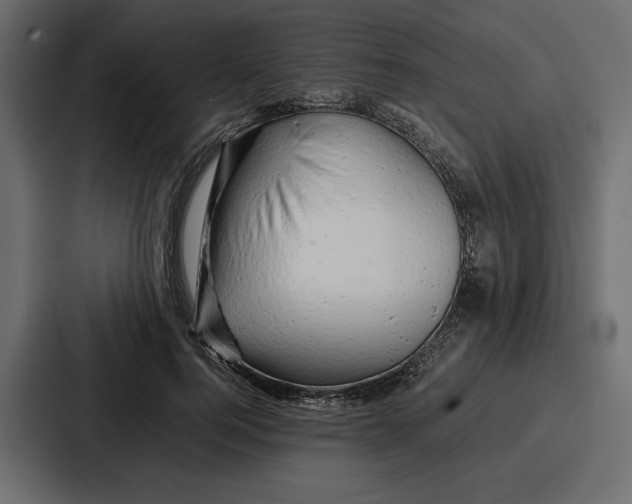 X0000086740744200705111634