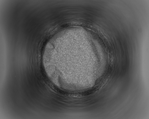 X0000086740745200705111634