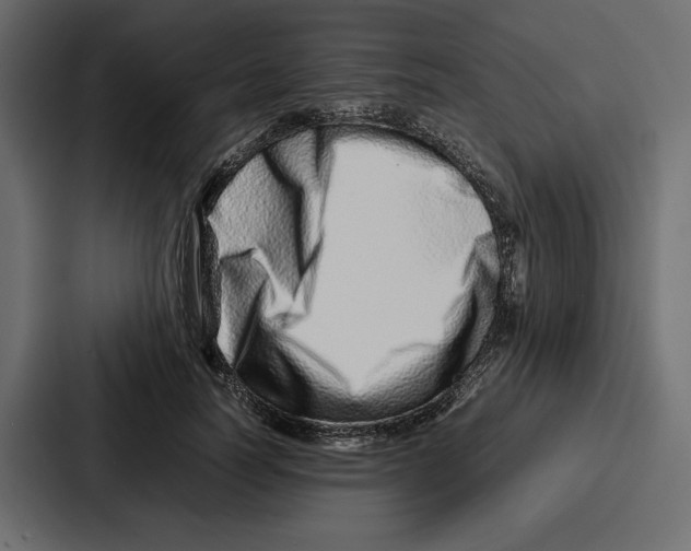 X0000086740746200705111634