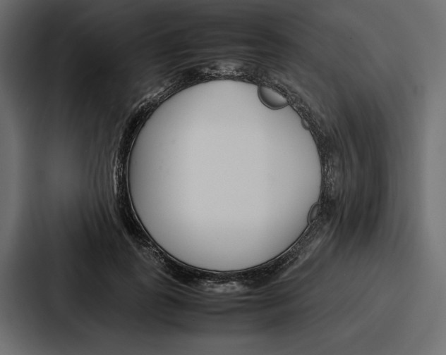 X0000086740747200705111634