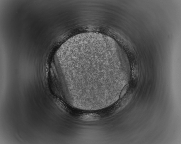 X0000086740748200705111634