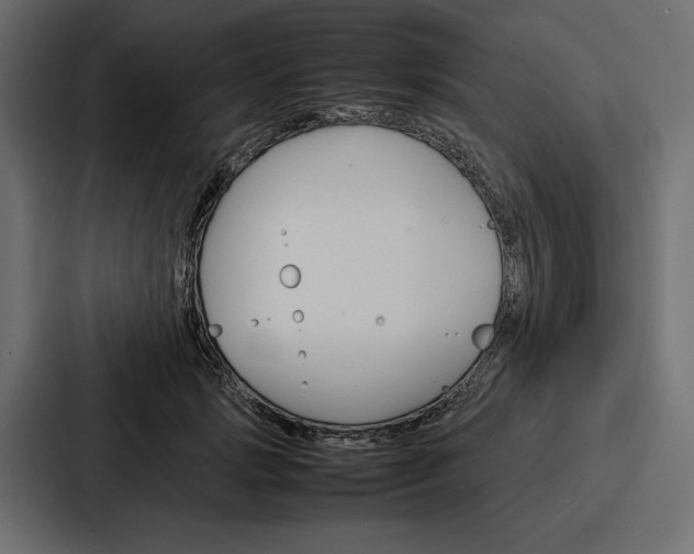 X0000086740749200705111634