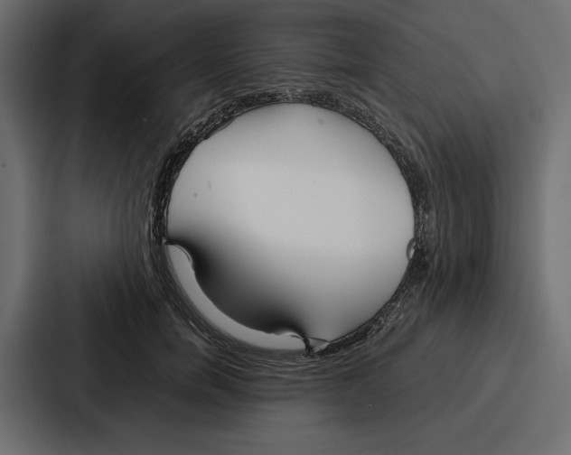 X0000086740750200705111634
