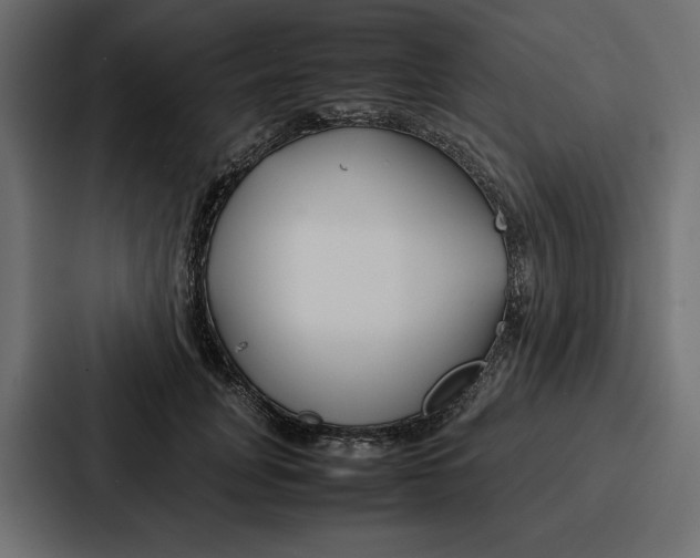 X0000086740751200705111634