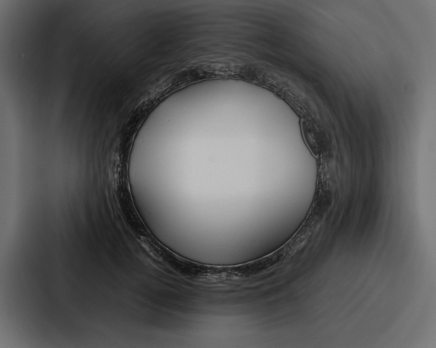 X0000086740752200705111634