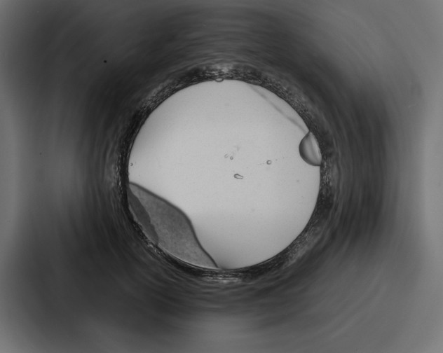 X0000086740754200705111634