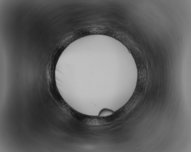 X0000086740755200705111635