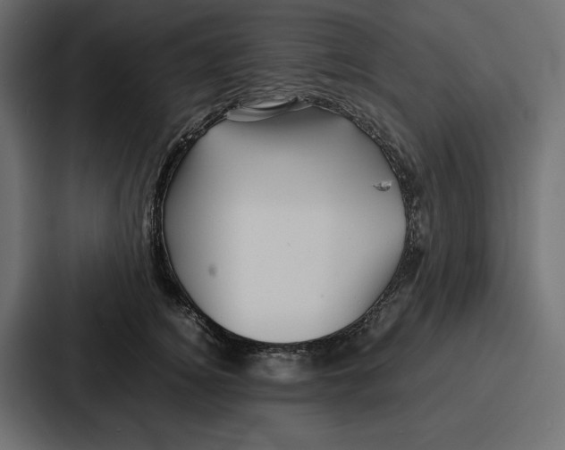 X0000086740756200705111635