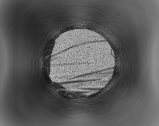 X0000086740758200705111635