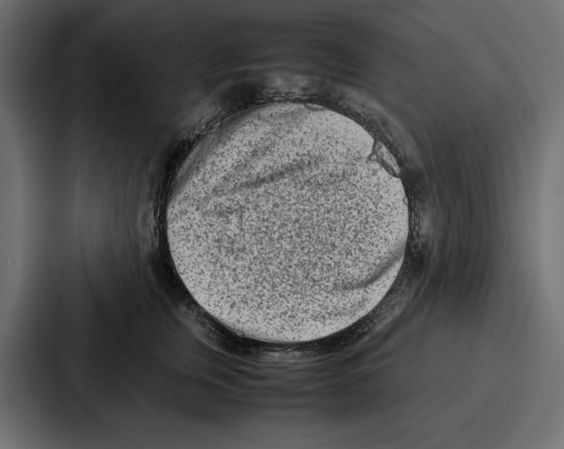 X0000086740759200705111635