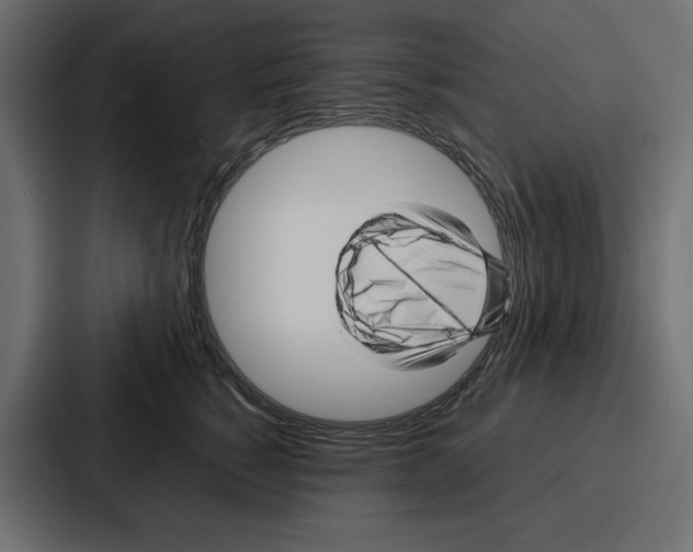 X0000086740760200705111635