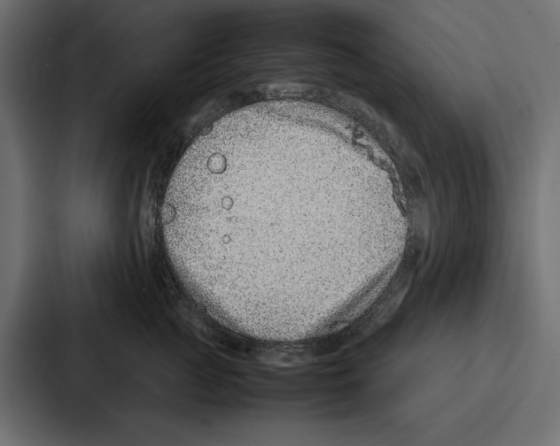 X0000086740761200705111635