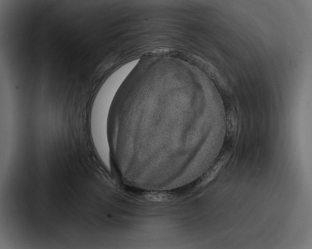 X0000086740762200705111635