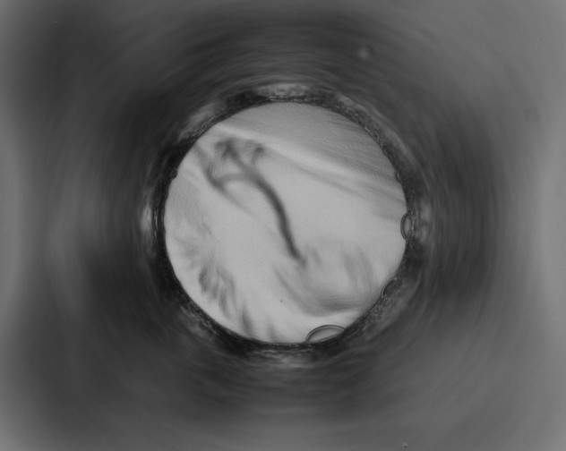 X0000086740763200705111635