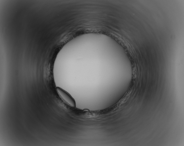 X0000086740764200705111635