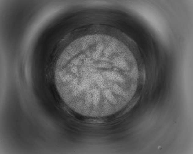 X0000086740765200705111635