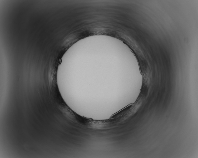 X0000086740766200705111635