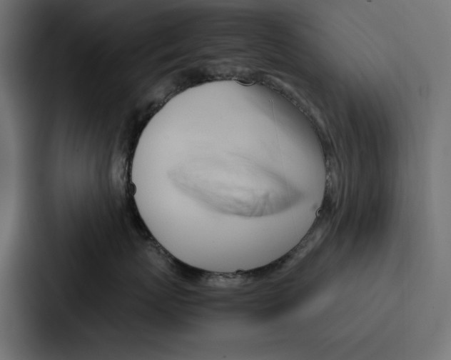 X0000086740767200705111635