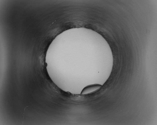 X0000086740768200705111635