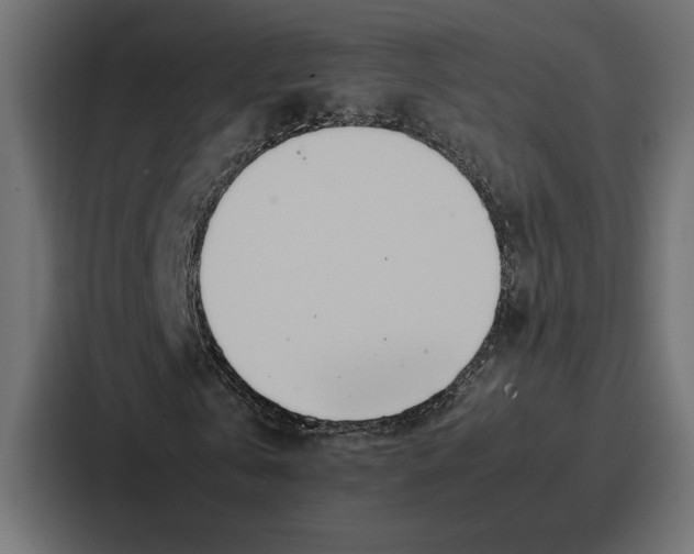 X0000086740769200705111634