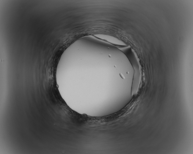 X0000086740771200705111634