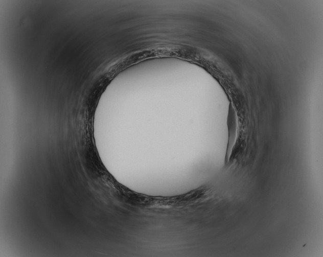 X0000086740773200705111634