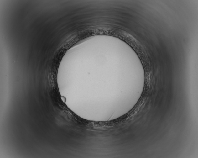 X0000086740774200705111634