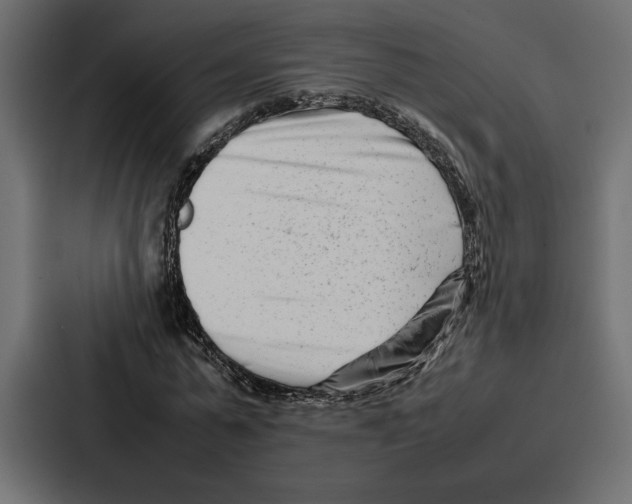 X0000086740775200705111634