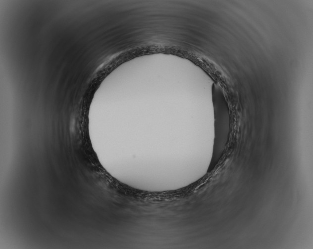 X0000086740776200705111634