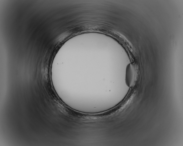 X0000086740777200705111634