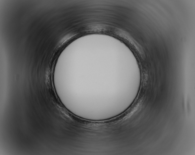 X0000086740778200705111634