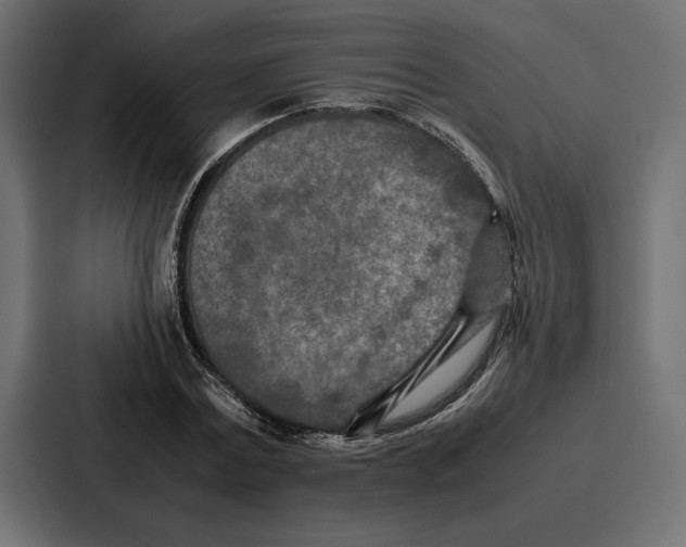 X0000086740779200705111634