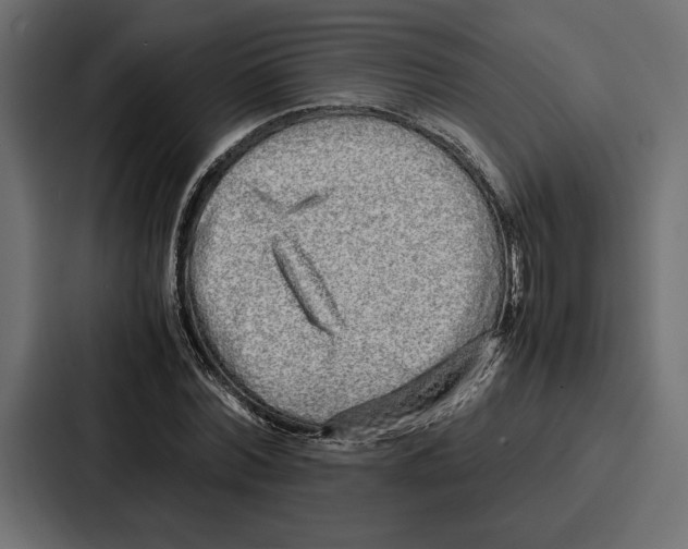 X0000086740780200705111634