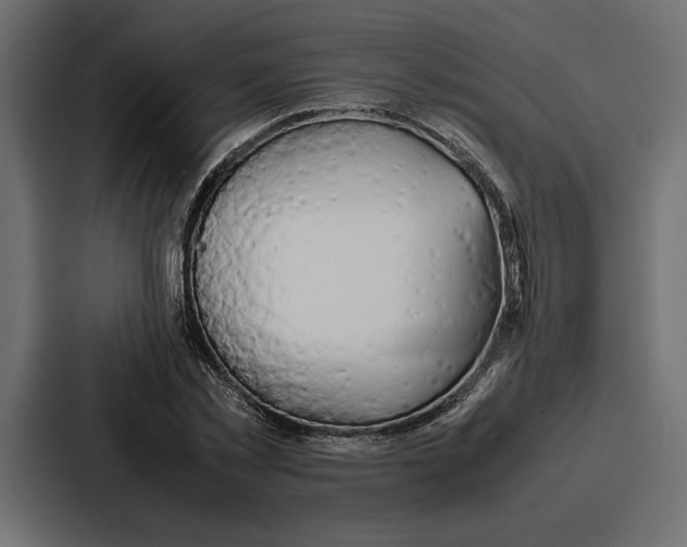 X0000086740781200705111634