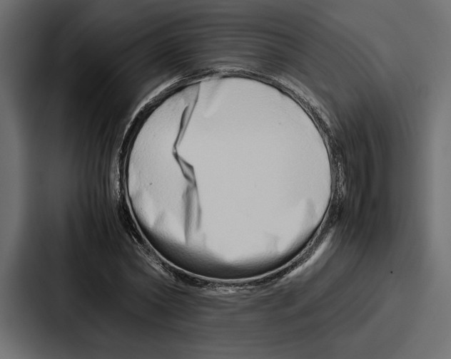 X0000086740782200705111634