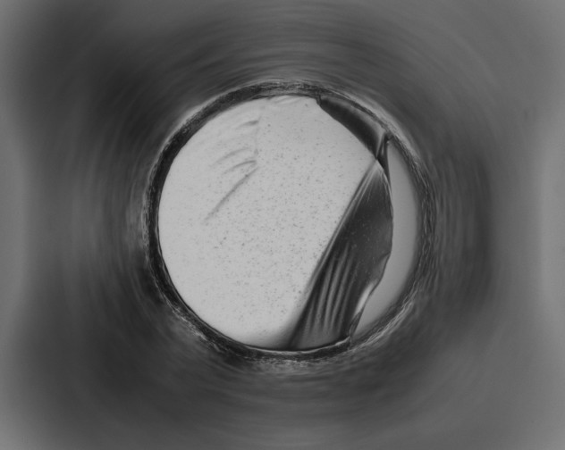 X0000086740783200705111634