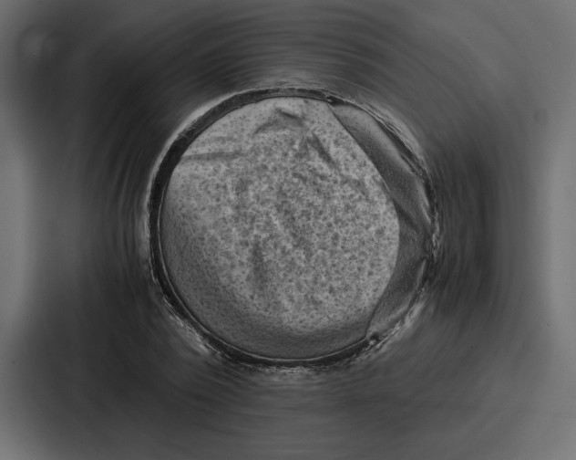 X0000086740784200705111634