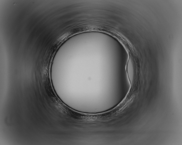 X0000086740785200705111634