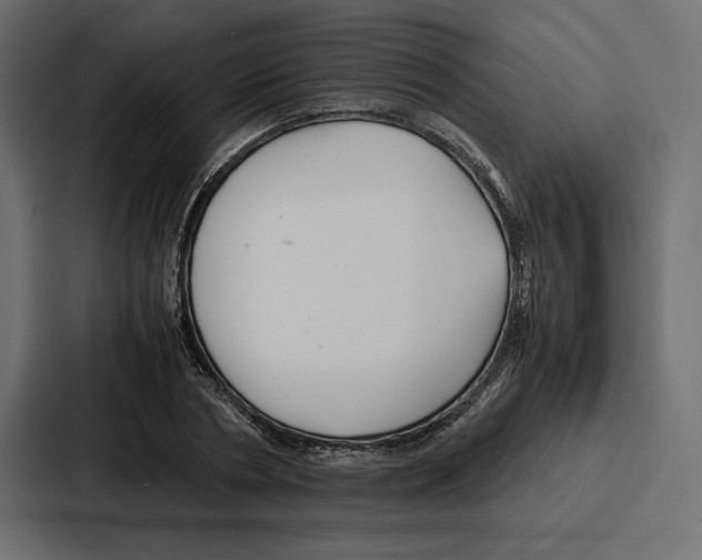 X0000086740786200705111634