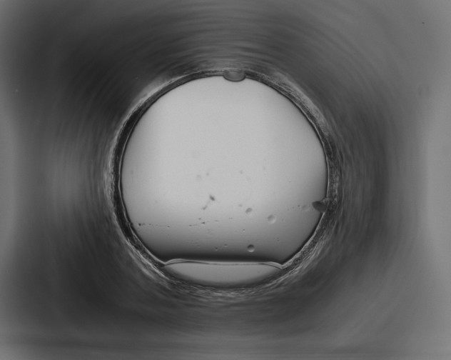 X0000086740787200705111634